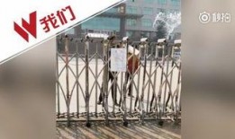 蓝翔技校爆料视频,揭秘职业教育内幕